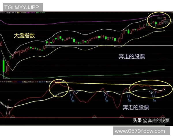 聚焦A股指数走势与市场变化 探讨当前经济形势下的投资机会与风险