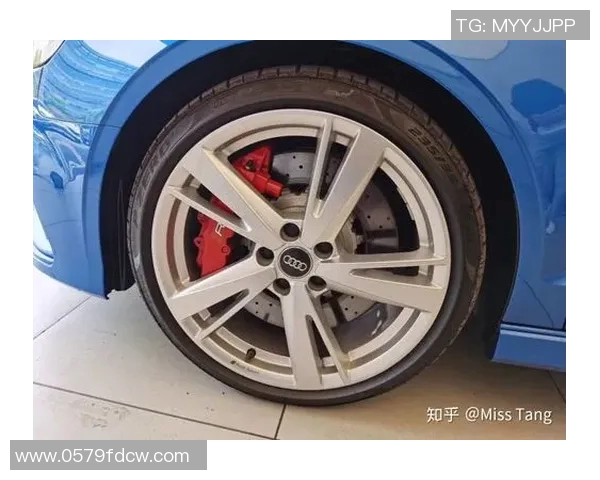 TES在世界大师赛中的耐力表现分析与启示