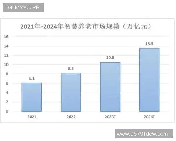 北京排球队实力分析与未来发展趋势的深度探讨